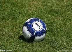 雷神杯,全国高校电,竞精英赛北,拼搏体育,(PINBO,SPORT),Pinbo拼搏体育官网,Pinbo拼搏体育在线,Pinbo拼搏体育平台