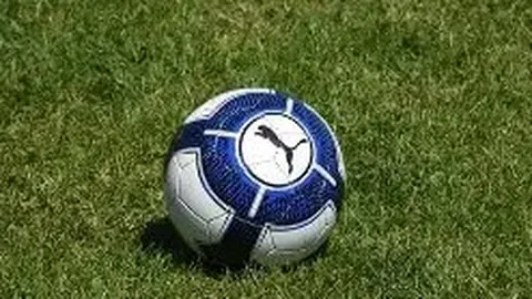 拼搏体育 (PINBO SPORT)