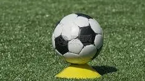 拼搏体育 (PINBO SPORT) 资讯 140934 ztn