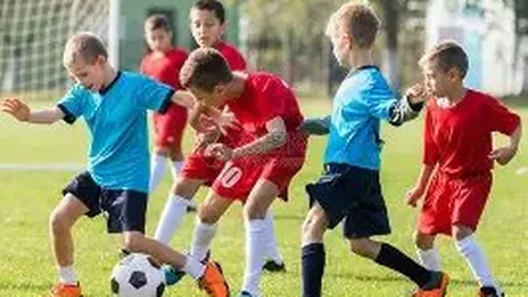 拼搏体育 (PINBO SPORT) 资讯 141604 2bc